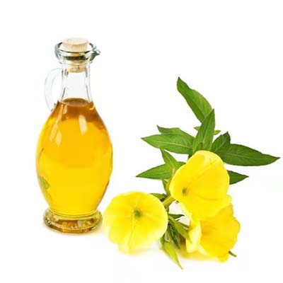 Glass Cruet Olive Oil/Vinegar Dispenser Bottle